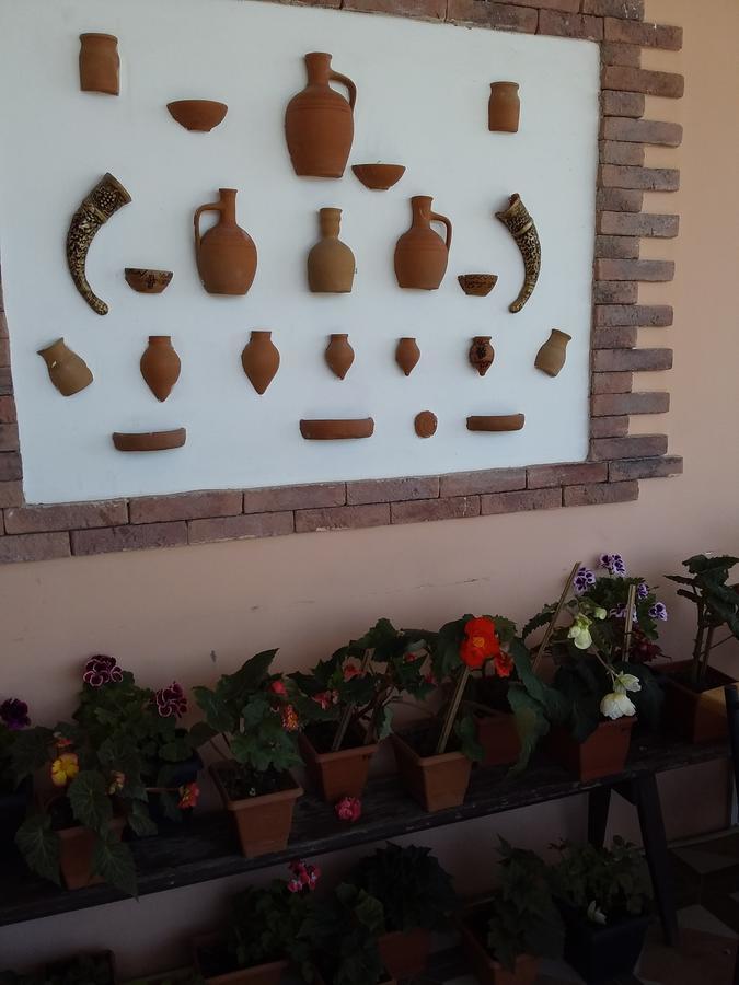 Guest House Medea Telavi Buitenkant foto